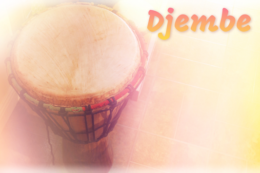 Djembe at Lark in the Morning music store