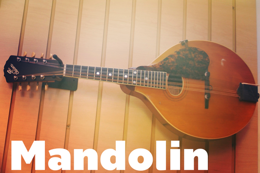 Gibson Mandolin at the Lark in the Morning Store
