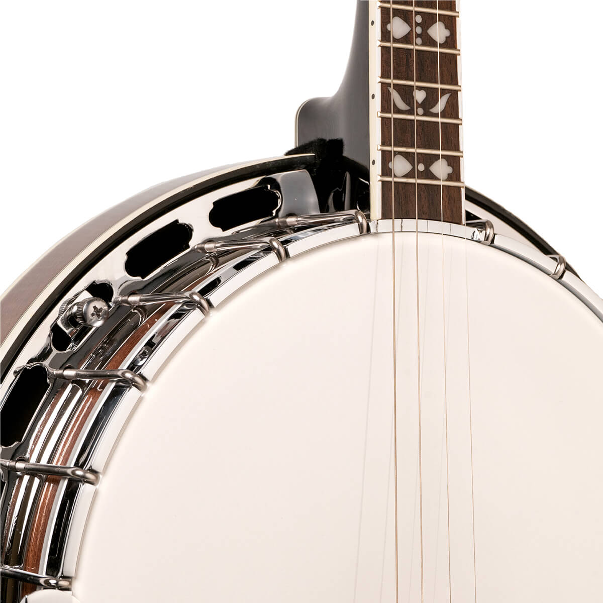 Gold Tone Tenor Special Banjo, TS-250 Banjos Gold Tone