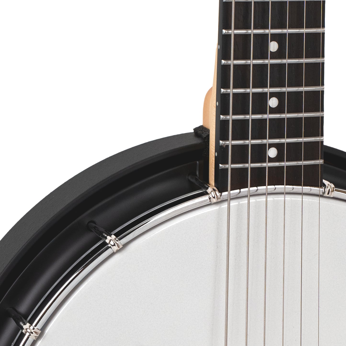 Gold Tone Composite 6 String Banjitar