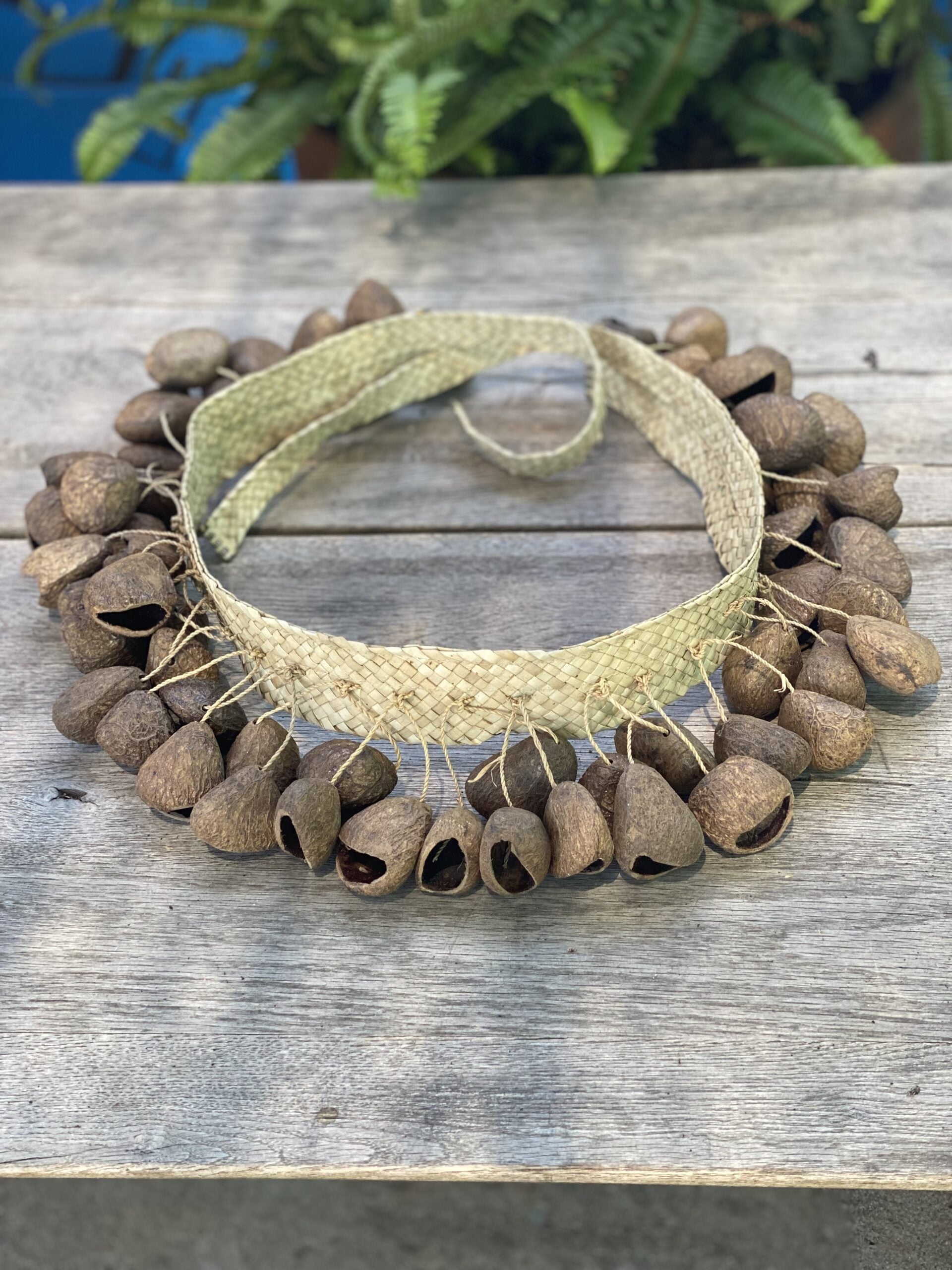 Kluwak Seed Belt Shakers, Maracas & Rattles Lark in the Morning