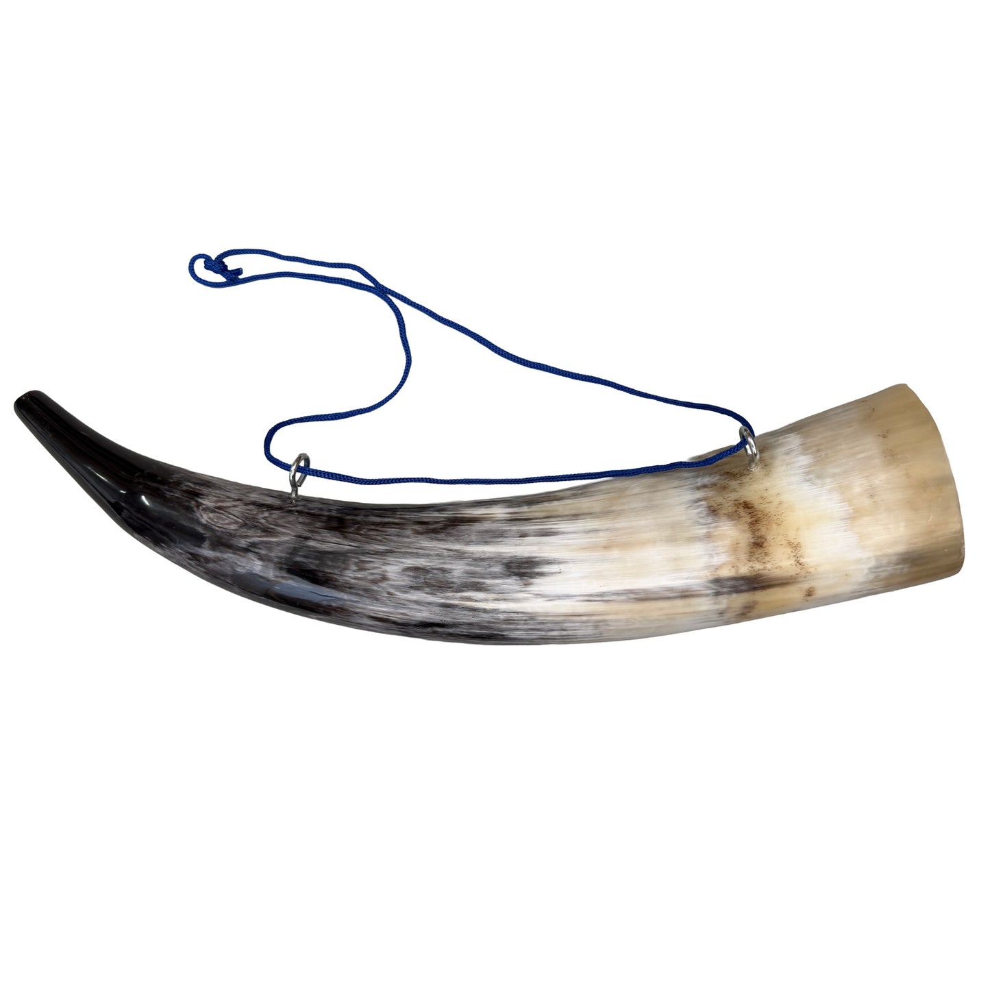 Large Hunter's Horn