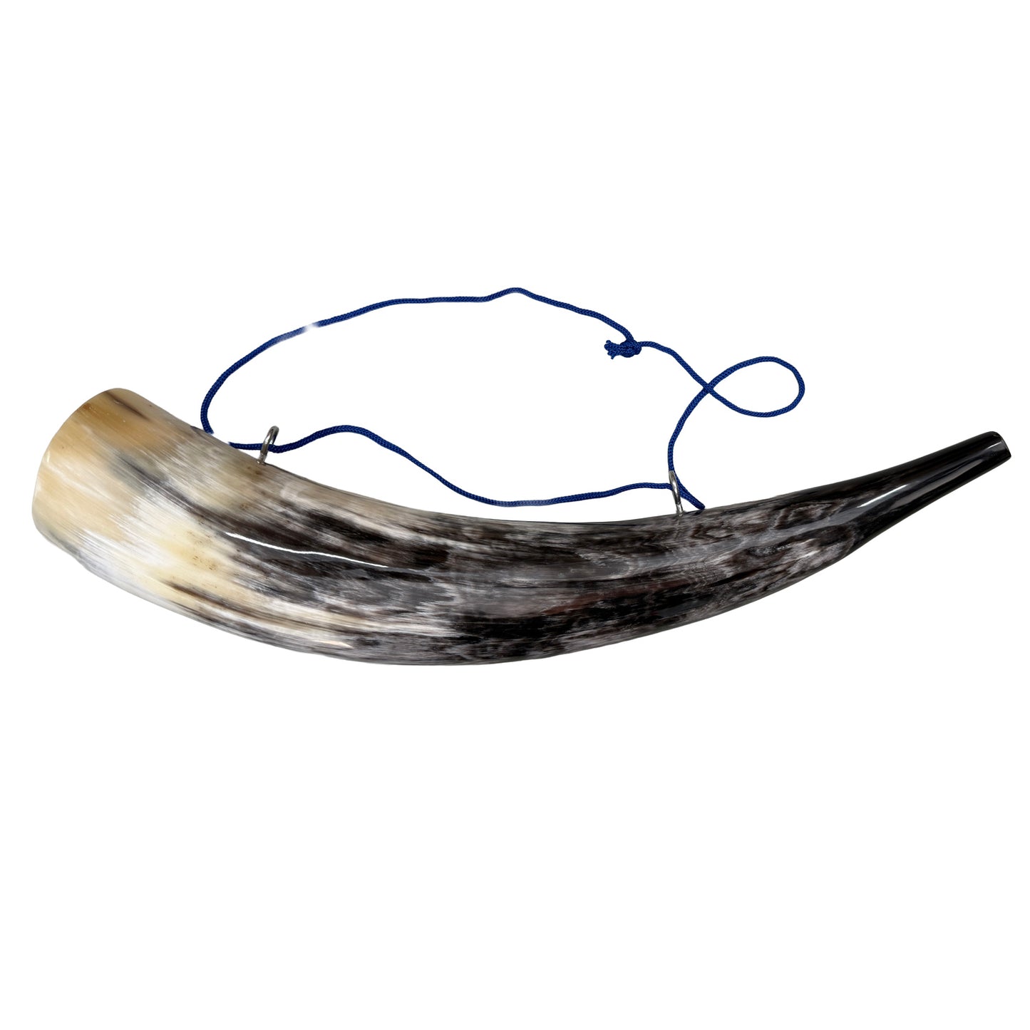 Large Hunter's Horn