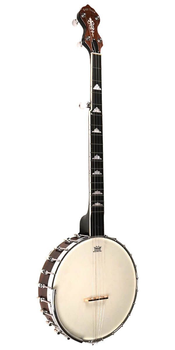 Gold Tone "White Ladye" Banjo WL-250 Banjos Gold Tone