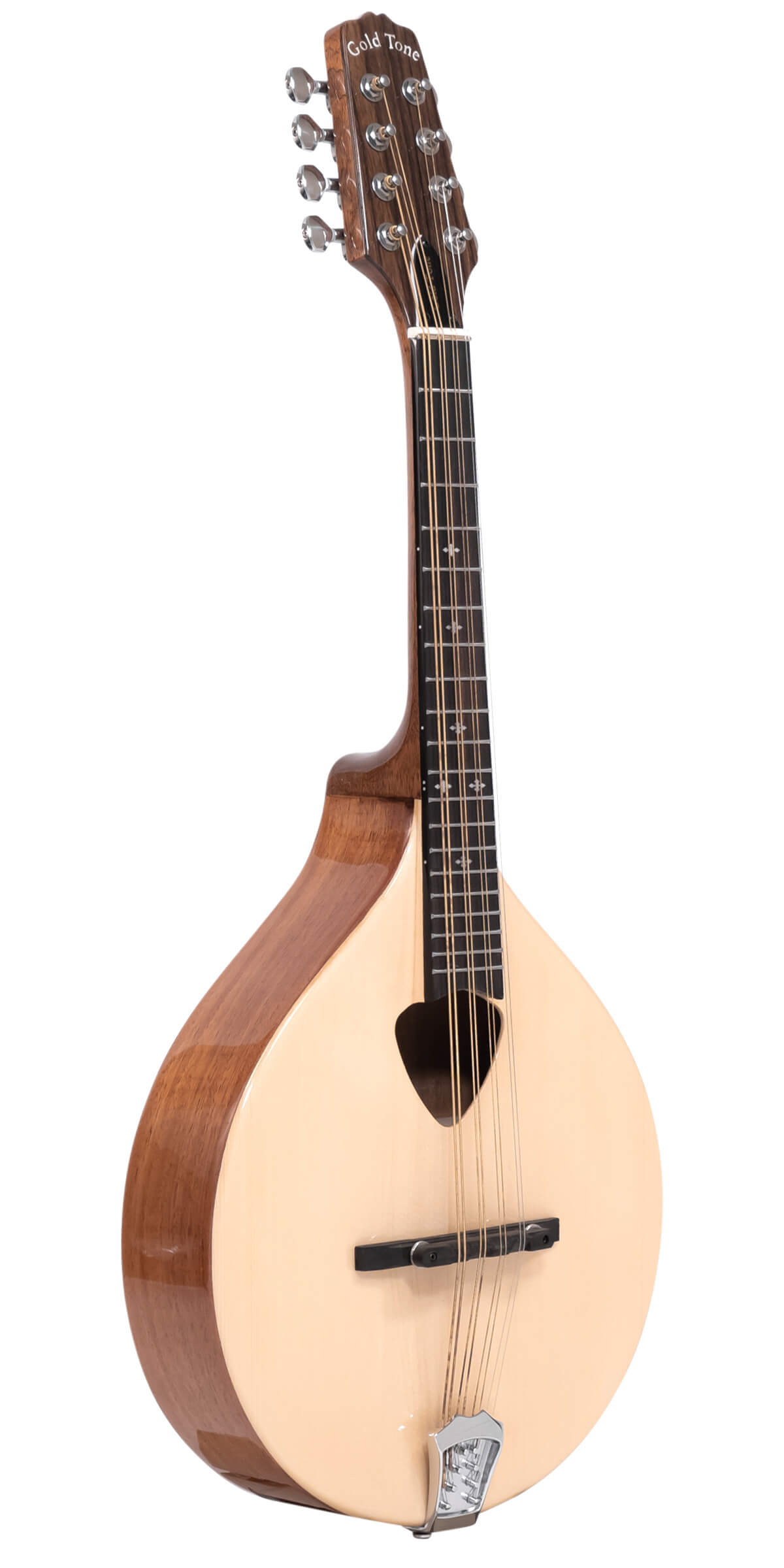 Gold Tone Mandola Mandolins Gold Tone
