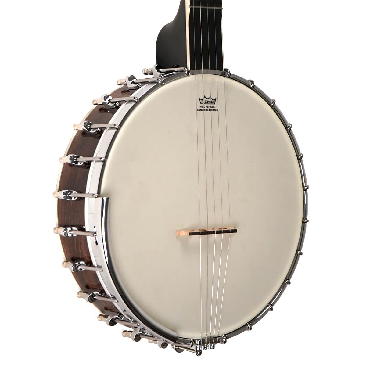 Gold Tone "White Ladye" Banjo WL-250 Banjos Gold Tone