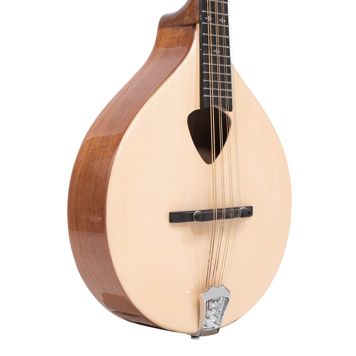 Gold Tone Mandola Mandolins Gold Tone