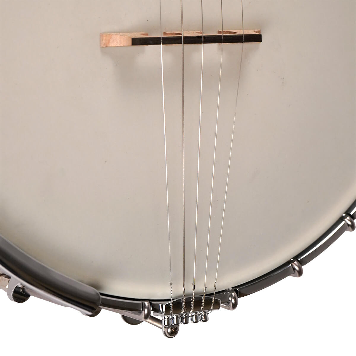 Gold Tone "White Ladye" Banjo WL-250 Banjos Gold Tone