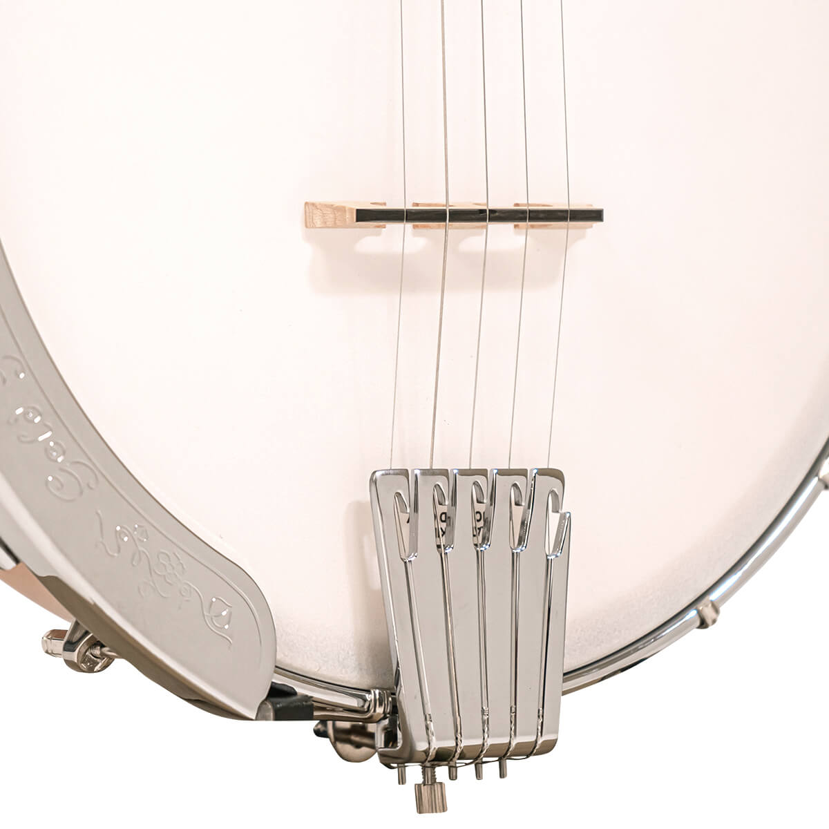 Gold Tone Cripple Creek Banjo, CC-100 Banjos Gold Tone