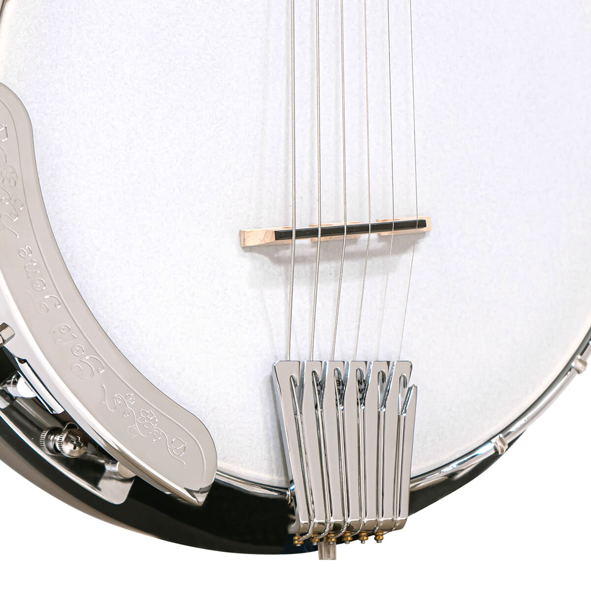 Gold Tone CC-Banjitar: Cripple Creek Banjitar with Pickup Banjos Gold Tone