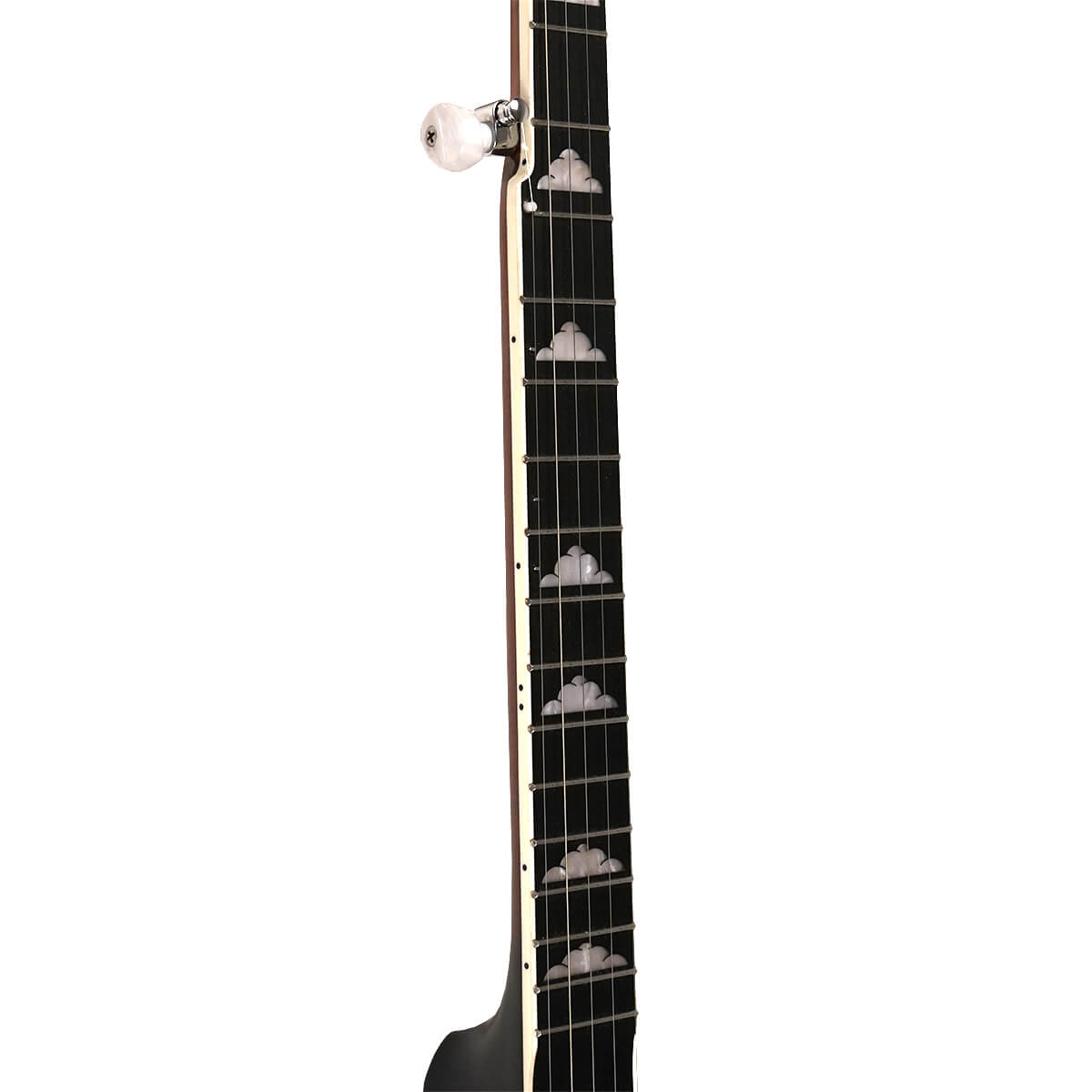Gold Tone "White Ladye" Banjo WL-250 Banjos Gold Tone