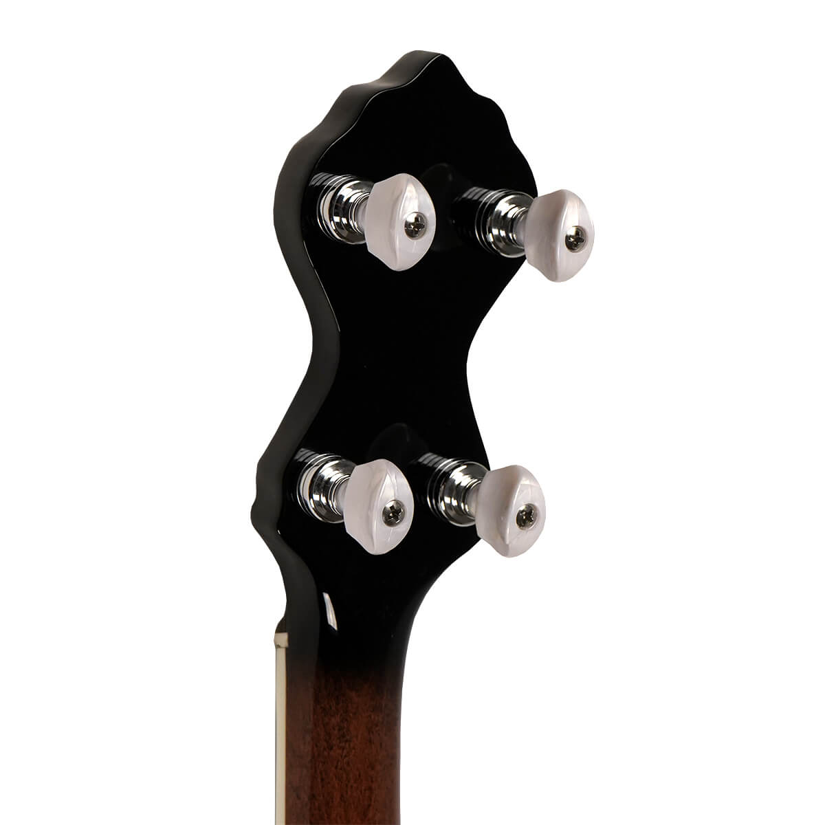 Gold Tone "White Ladye" Banjo WL-250 Banjos Gold Tone