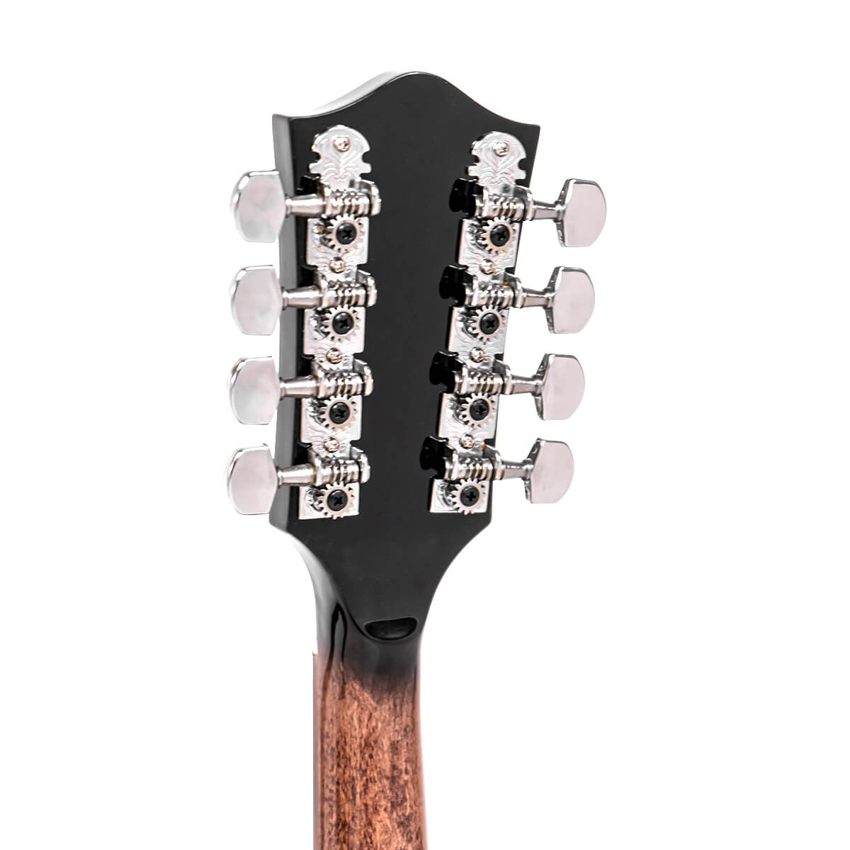 Gold Tone Mandolin Banjo (Banjolin) Banjos Gold Tone