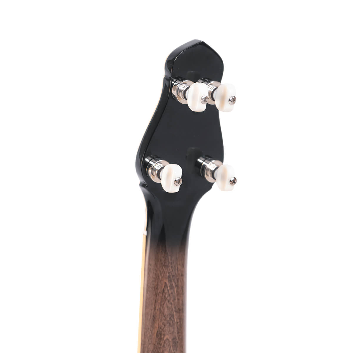 Gold Tone 5-String Cello Banjo Banjos Gold Tone