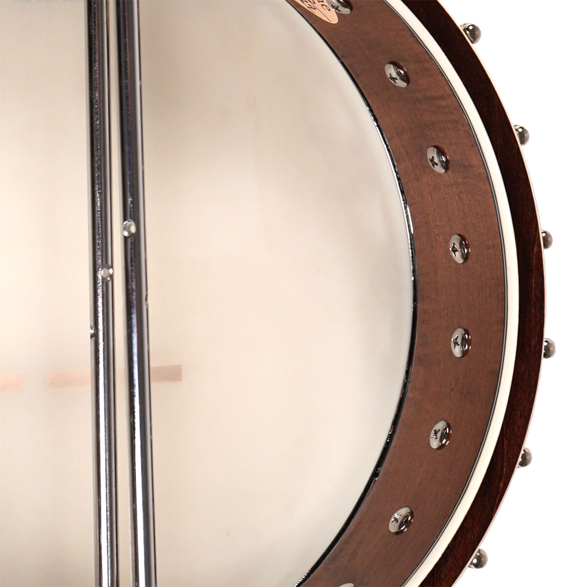 Gold Tone "White Ladye" Banjo WL-250 Banjos Gold Tone