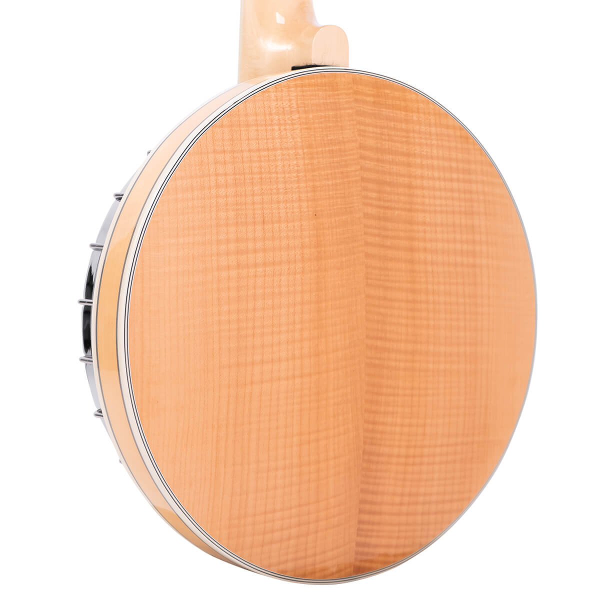 Gold Tone Banjitar Deluxe GT-750 Banjos Gold Tone