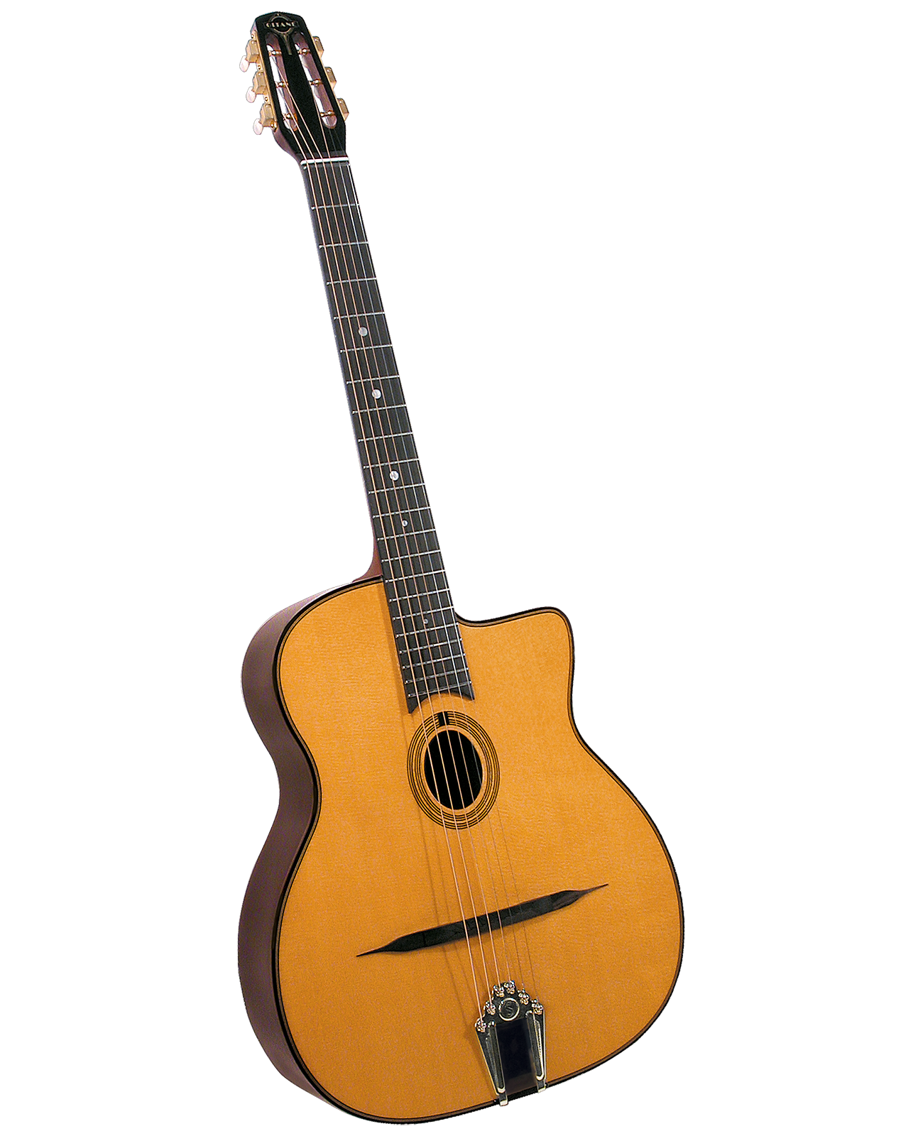 Django style online guitar