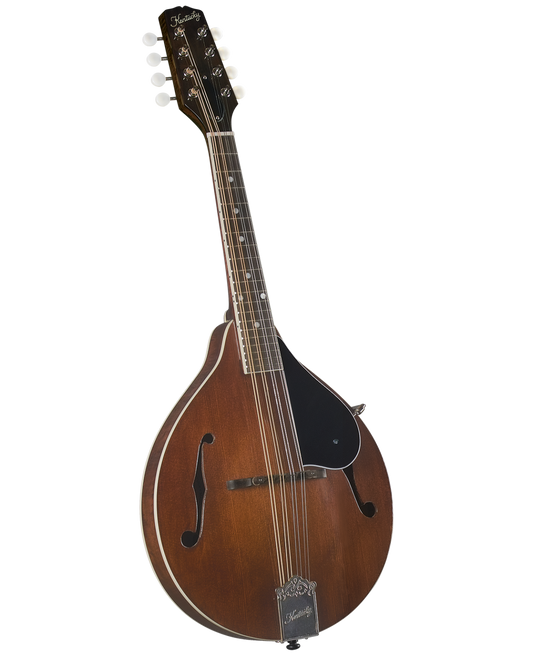 Kentucky KM-156 Standard A-Model Mandolin – Transparent Brown Mandolins Rover