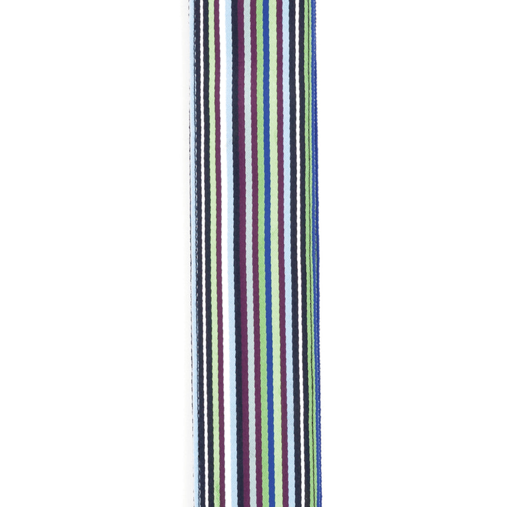 D'Addario NYLON WOVEN GUITAR STRAP Blue Latin Line Art Guitar Straps D'Addario