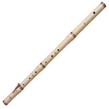 Aulos Stanesby Baroque Flute, with hard case Flutes Lark in the Morning