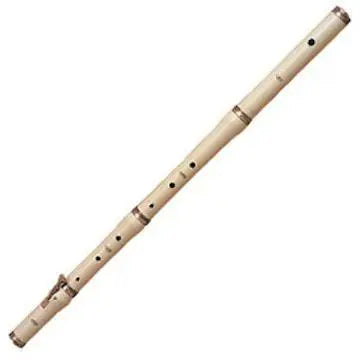 Aulos Stanesby Baroque Flute, with hard case Flutes Lark in the Morning