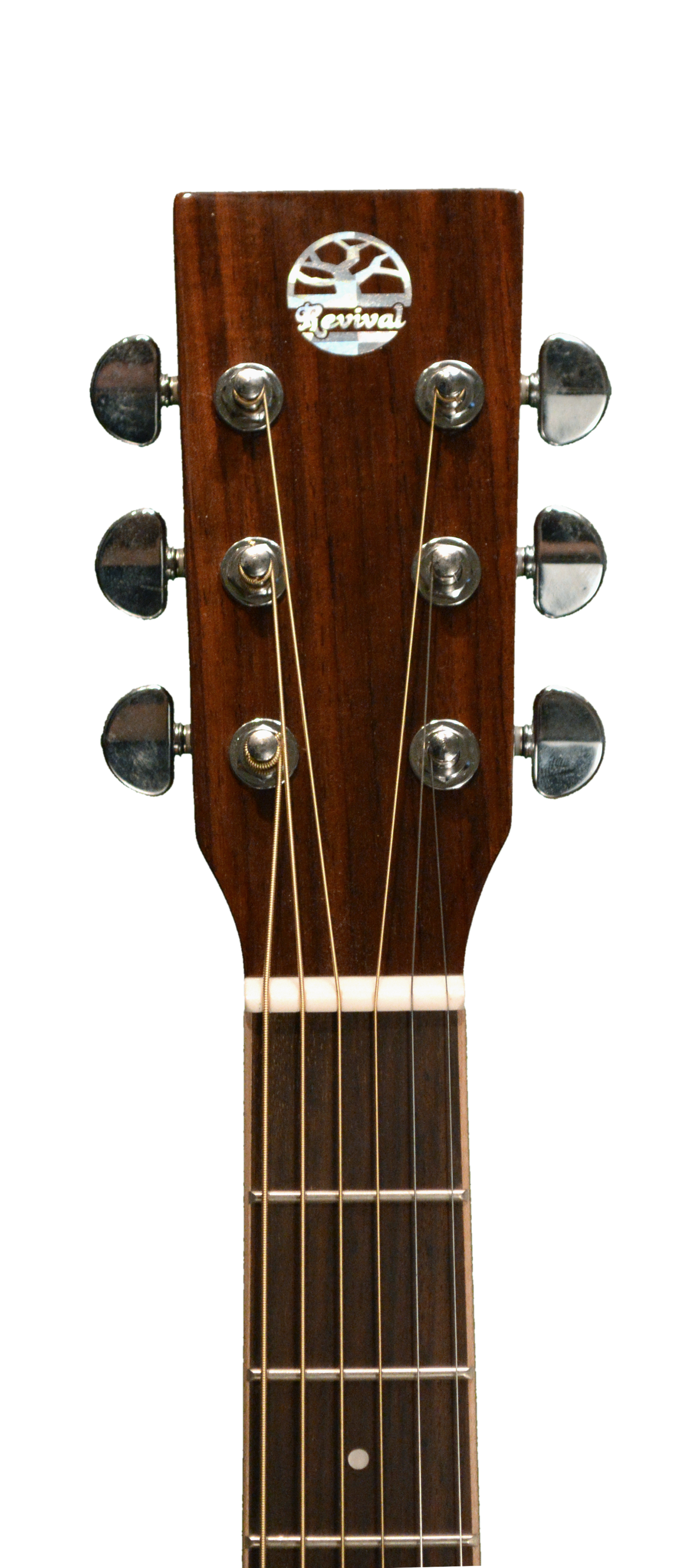 Revival RG-27 Dreadnought Guitars Revival