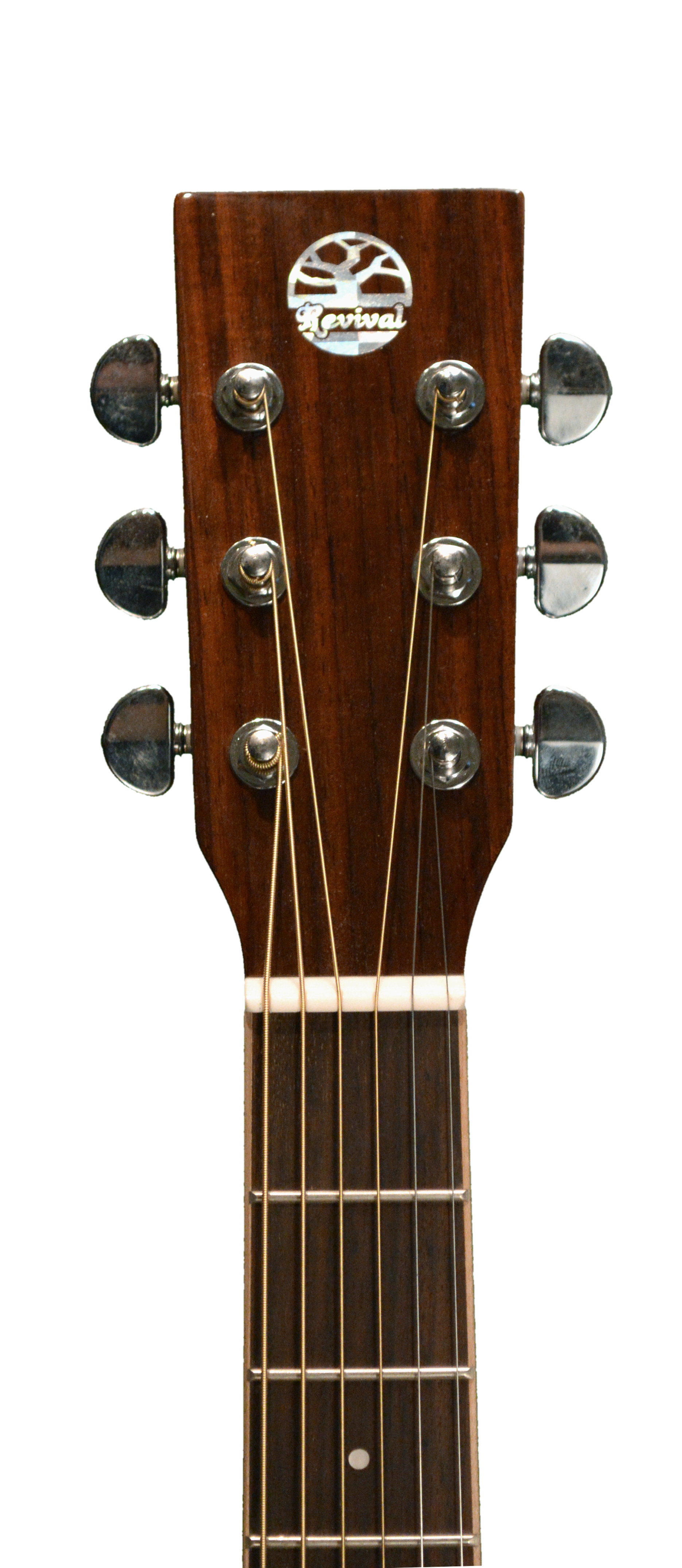 Revival RG-27 Dreadnought Guitars Revival