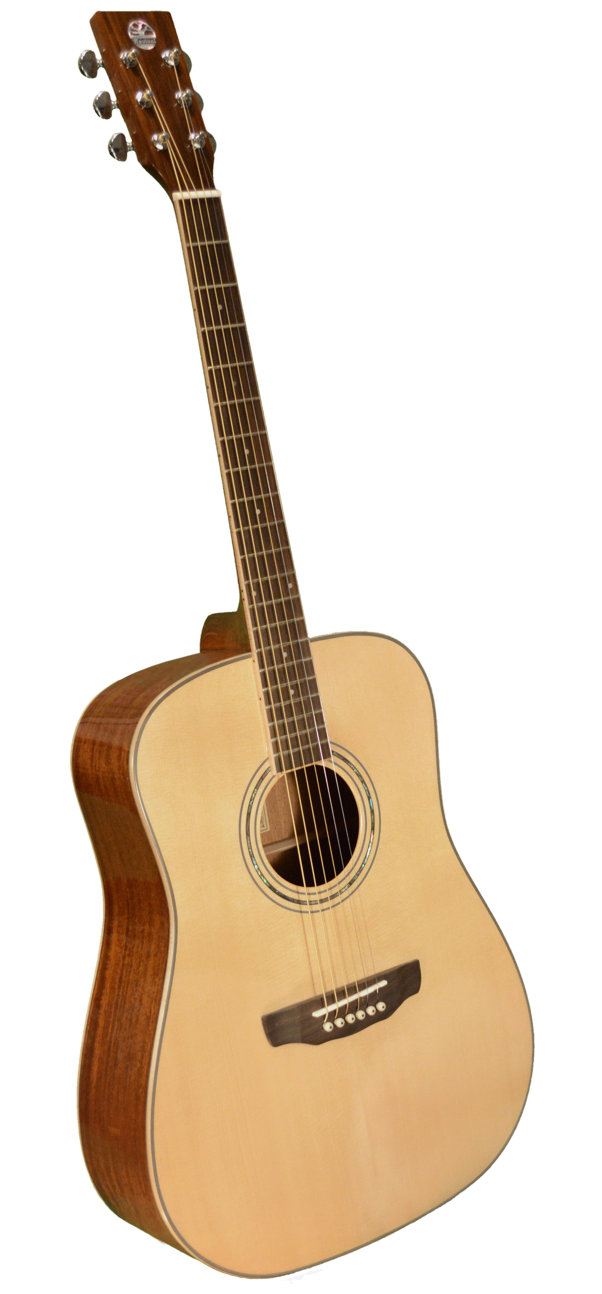 Revival RG-27 Dreadnought, *Repaired/Blemished Guitars Revival