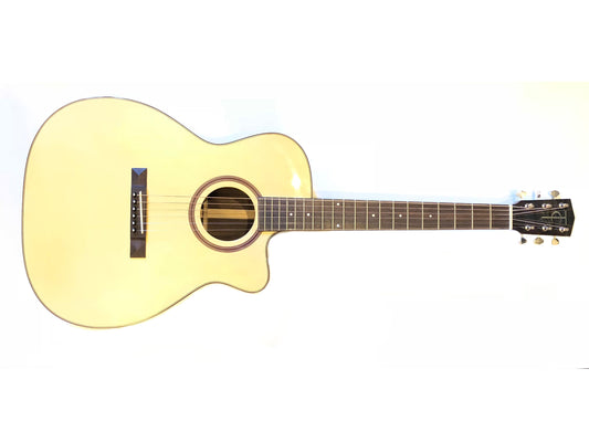 Trinity College Guitar TG-222 w/ Case Guitars Trinity College