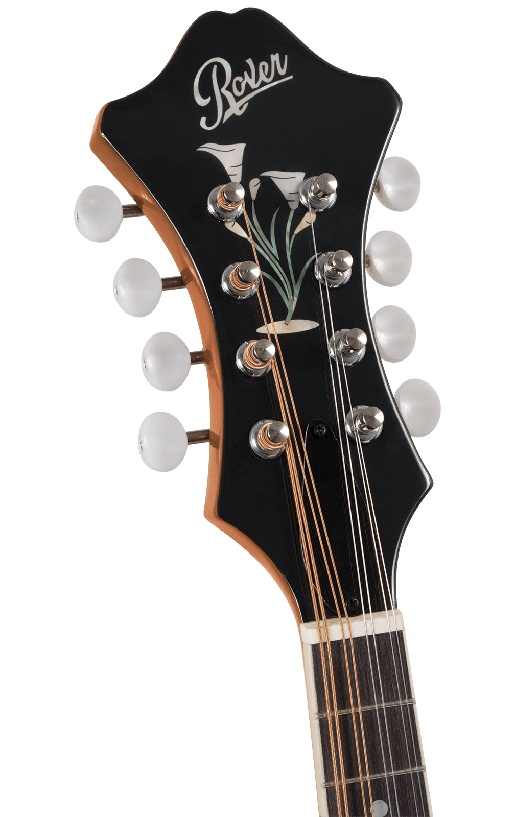 Rover RM-75 Deluxe Student F-model Mandolin - Amber Mandolins Kentucky