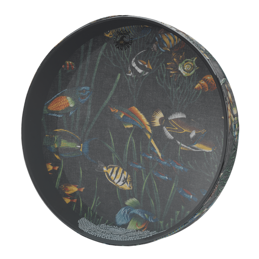 Remo Ocean Drum, 16" Diameter, 2 1/2" Depth, Fish Graphic Ocean Drums Remo