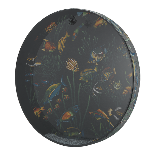 Remo Ocean Drum, 22" Diameter, 2 1/2" Depth, Fish Graphic Ocean Drums Remo