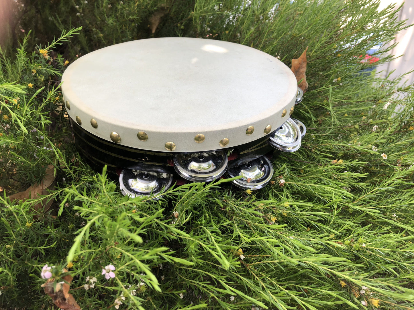 Double Row Tambourine Tambourines Lark in the Morning