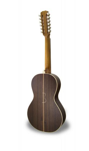 APC Viola Da Terra Viola Braguesas APC