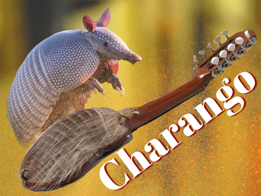 Charango – Armadillo Body