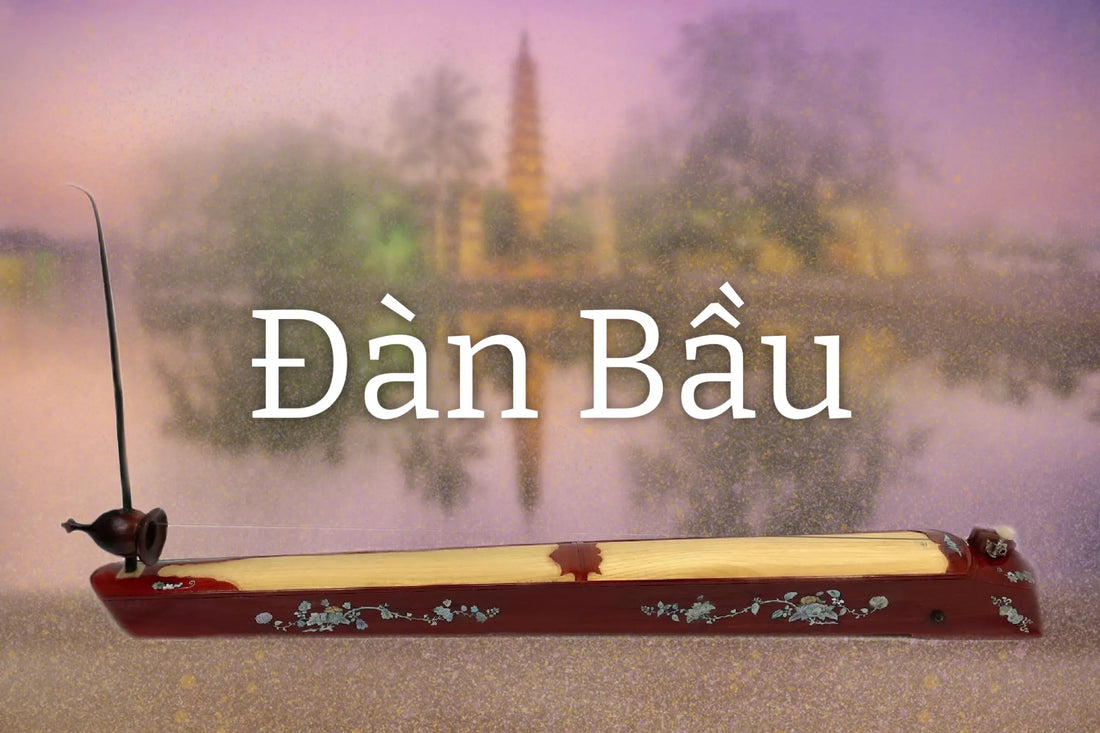 The Đàn Bầu – One String, Many Tones Lark in the Morning
