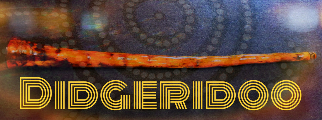 Didgeridoos at Lark in the Morning Music Store