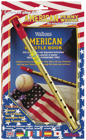 Learn to Play the American Penny Whistle for Complete Beginners Twin Pack Pennywhistles Hal Leonard   