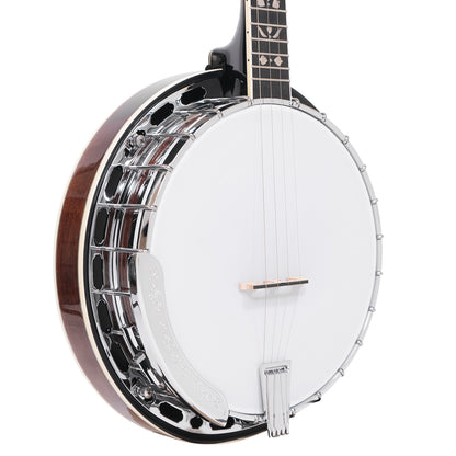 Gold Tone Plectrum Special Banjo, PS-250