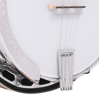 Gold Tone Plectrum Special Banjo, PS-250