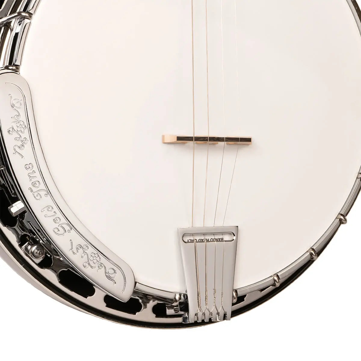 Gold Tone Tenor Special Banjo, TS-250 - Lark in the Morning