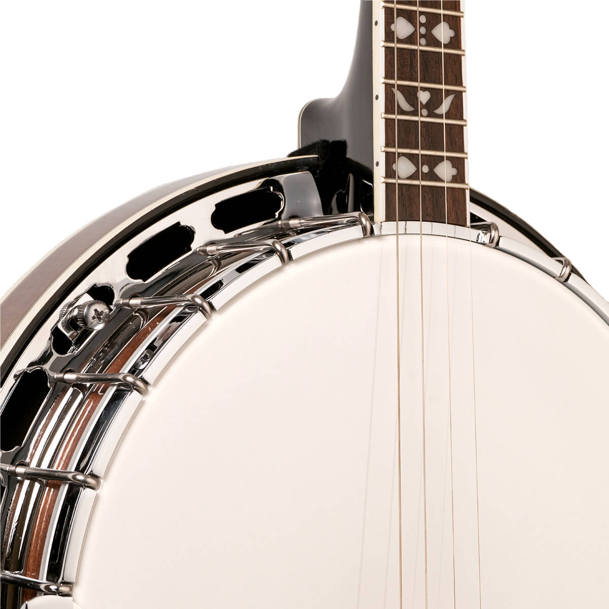 Gold Tone Tenor Special Banjo, TS-250 Banjos Gold Tone   