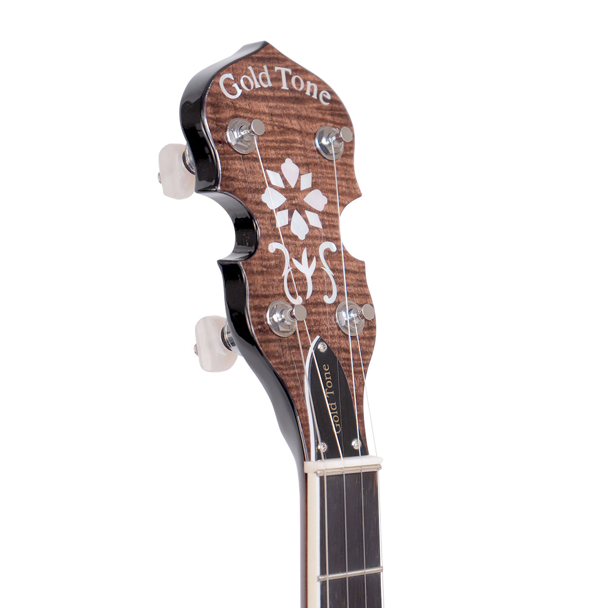 Gold Tone Plectrum Special Banjo, PS-250