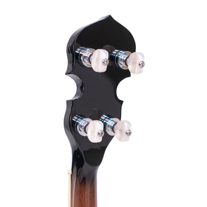 Gold Tone Plectrum Special Banjo, PS-250