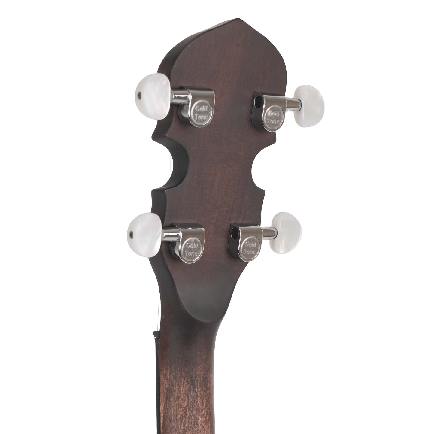 CC-BG: Cripple Creek Banjo Bluegrass Starter Pack Banjos Gold Tone   