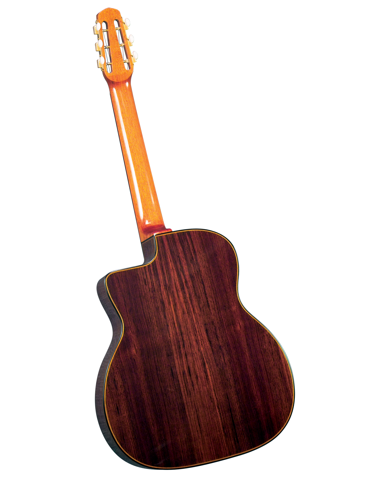 Gitane Gypsy Jazz Guitar D 500 D Hole Lark in the Morning