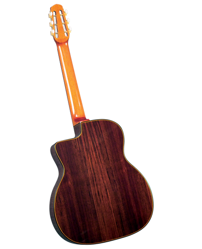 ギター GITANE D-500 Gitane Gypsy Jazz Guitar: D-500 D Hole – Lark in the Morning