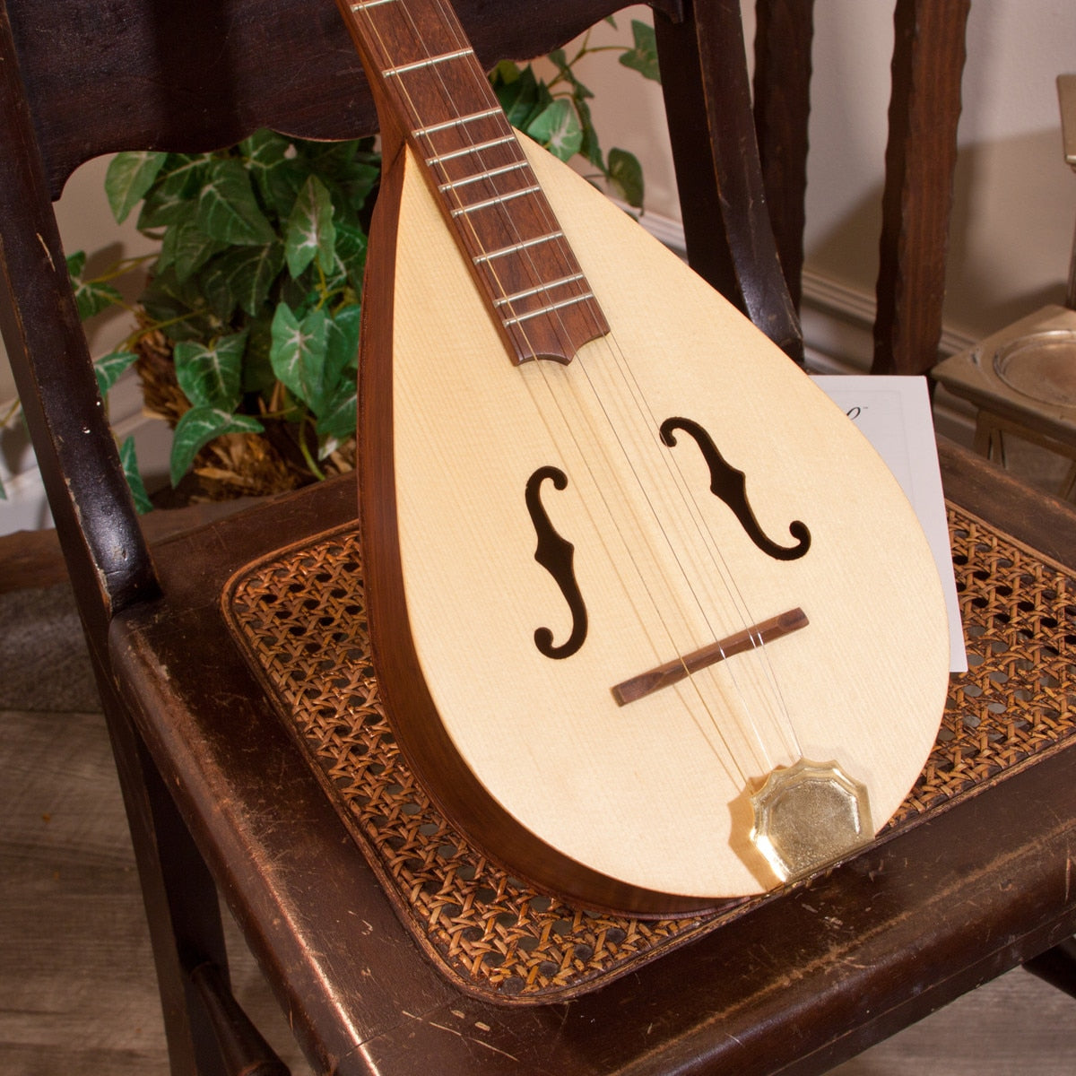 ルーズベック・ワイルドウッド・ダルシマー、ローズウッド、スクロールターン