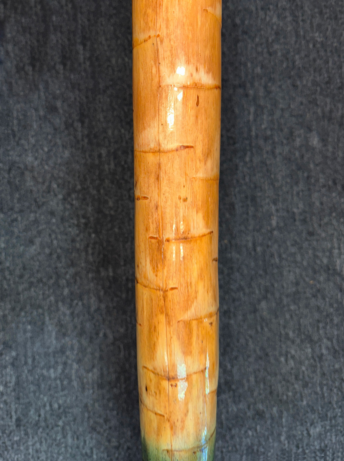 Yucca Didgeridoo by David Blonski Didgeridoos Lark in the Morning   