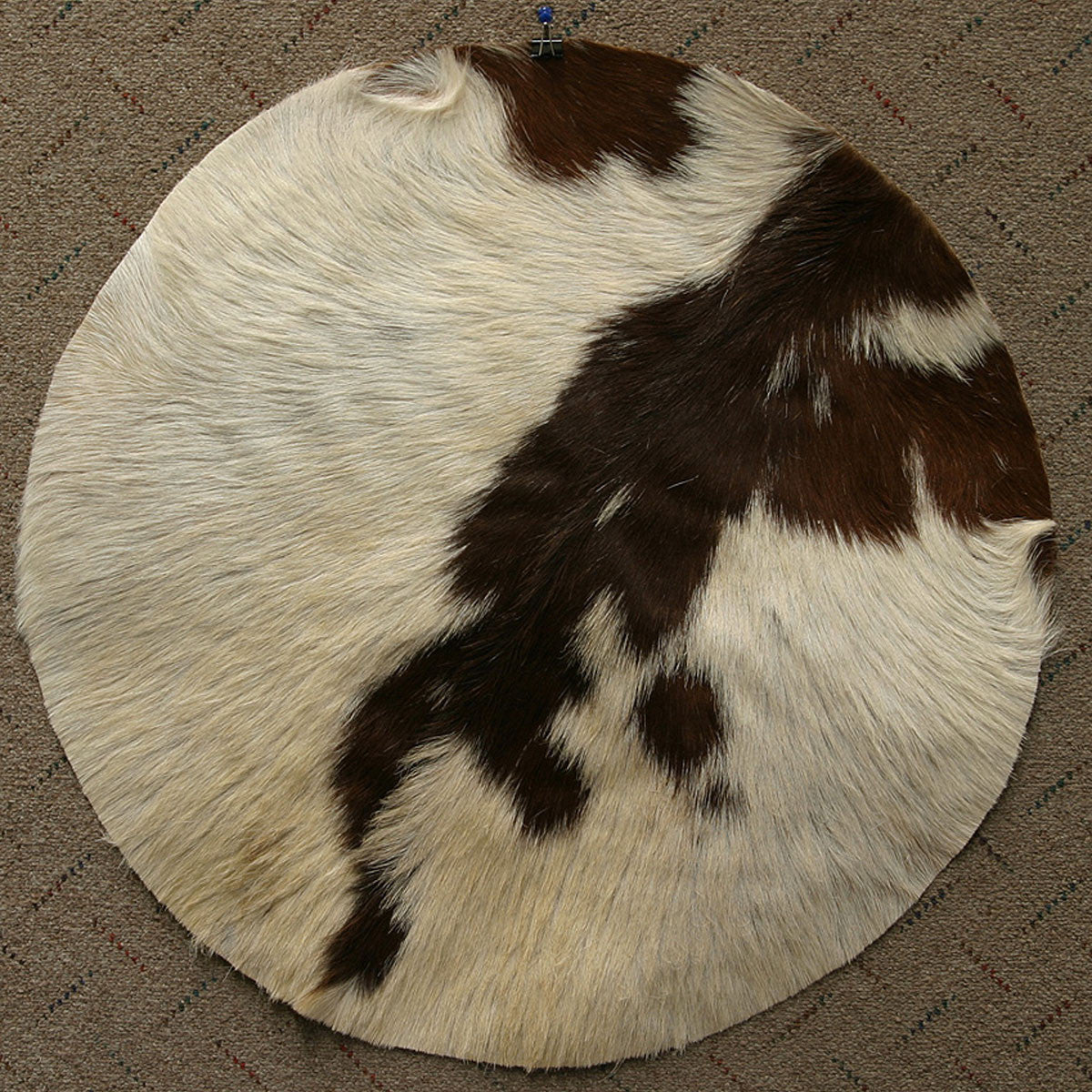 Goatskin, 26" with Hair, Thin Drum Skins Mid-East   